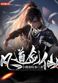 真三国无双8